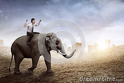 Asian business man riding elephant Stock Photo