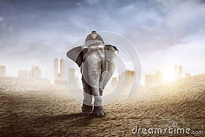 Asian business man riding elephant Stock Photo