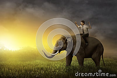 Asian business man riding elephant Stock Photo