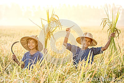 Asian children farmer on yellow rice field Stock Photo
