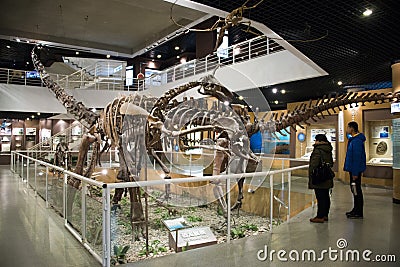 Asian China, Beijing, Museum of ancient animal Editorial Stock Photo