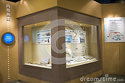 Asian China, Beijing, Museum of ancient animal Editorial Stock Photo