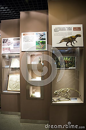 Asian China, Beijing, Museum of ancient animal Editorial Stock Photo
