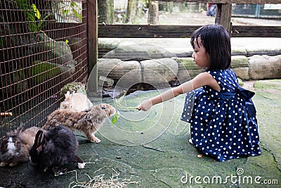 Asian Chinese Little Girls Feeding Rabbits Stock Photo