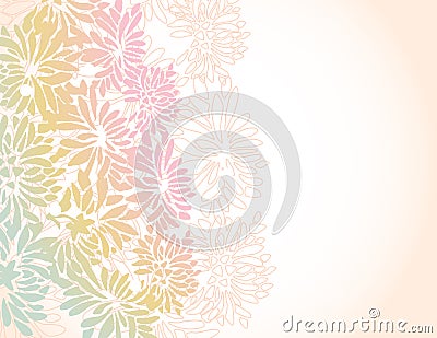 Asian chrysanthemum flower border background Vector Illustration