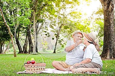 Asian elderly couples sit for picnics and relax in the park. Stock Photo