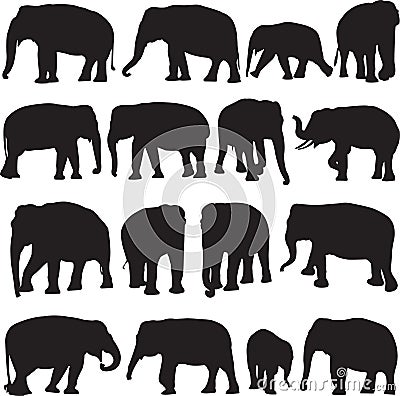 Asian elephant silhouette contour Vector Illustration