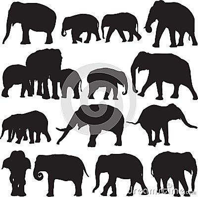 Asian elephant silhouette contour Vector Illustration