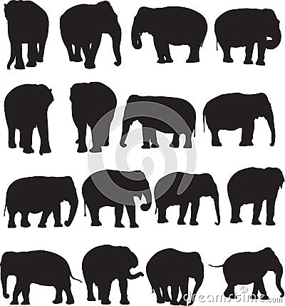 Asian elephant silhouette contour Vector Illustration