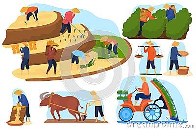 Asian farm rice fields vector illustration set, cartoon flat farmer people work on terraced agricultural rice Vector Illustration