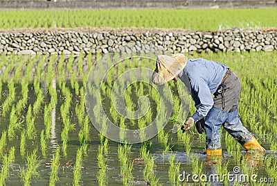 Asian farmer Stock Photo