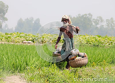 Asian farmer carrying vegetables with basket Editorial Stock Photo