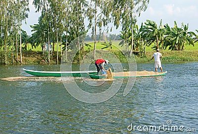 Asian farmer feeding, fish pond, fishery Editorial Stock Photo