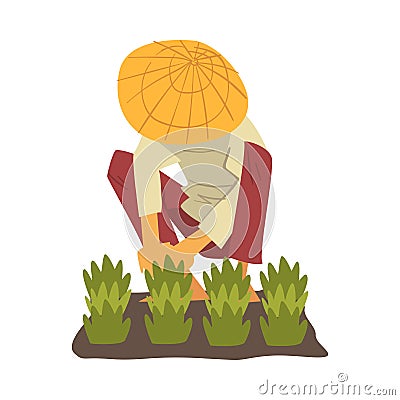 Asian Farmer in Straw Conical Hat Caring for Plants, Peasants Character Planting Rice on Field Cartoon Style Vector Vector Illustration