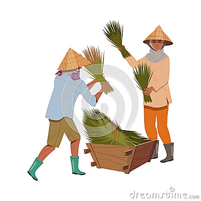 Asian Farmer in Straw Conical Hat Gathering Bundles of Rice Grass in Wooden Crate Vector Illustration Vector Illustration