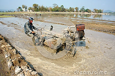 Asian farmer, Vietnamese rice field, tractor plough Editorial Stock Photo