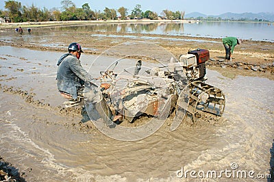 Asian farmer, Vietnamese rice field, tractor plough Editorial Stock Photo