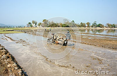 Asian farmer, Vietnamese rice field, tractor plough Editorial Stock Photo