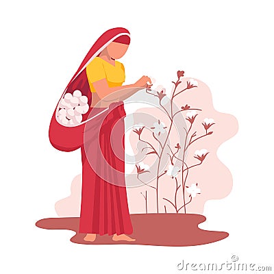 Asian Female Farmer Dressed in Saree Gathering Cotton Flower Vector Illustration Vector Illustration