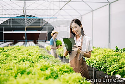 Asian female farmer wearing is caring for organic vegetables inside the nursery.Young entrepreneurs with an interest in Stock Photo
