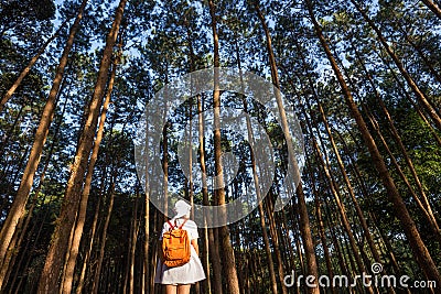 Asian female model on white fashion style weekend traveling in pine forest Stock Photo