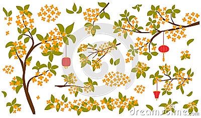 Asian floral branch set. Korean flowers collection. Blossoming osmanthus fragrans. Traditional oriental osmanthus Vector Illustration