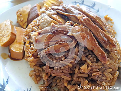 Asian Food Braised duck rice Stock Photo