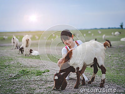 Asian girl feeding goats in a field with smiley face and happy.Concept of children and animal husbandry Stock Photo