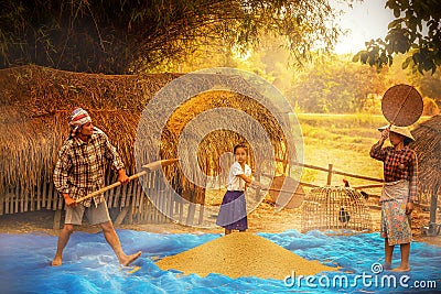 An Asian girl helps his mother to work after returning from school. Grain separation. girl and buffalo. Rural families are Stock Photo