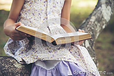 Asian Girl holding book reading at green park in natural garden. Young todler girl relaxation read open book self study. Happy Stock Photo