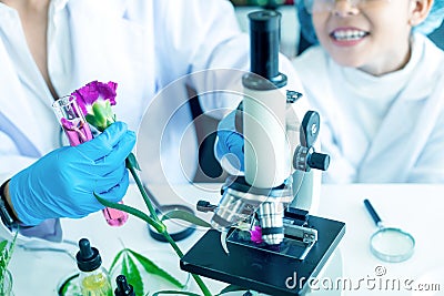 Asian girl leaning and education with woman science lab research flower with microscope for Natural aromatic and essential oil fro Stock Photo