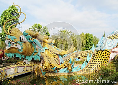 Asian golden colorful dragon Stock Photo