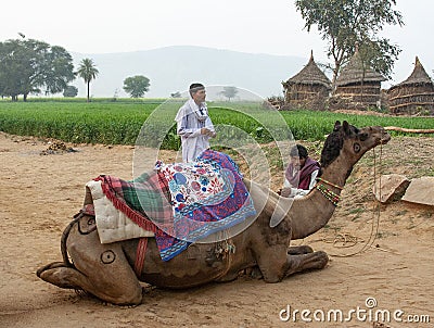 Asian Indian Men Camel Drivers with Camel Editorial Stock Photo