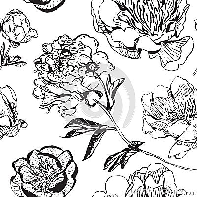 Asian ink peonies monochrome vertical Stock Photo