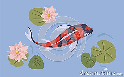Asian Japanese koi fish swimming in pond. Japan carp in water with flowers. Top view of Chinese oriental marine animal Vector Illustration