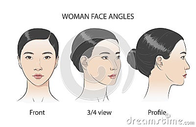 Asian korean women portrait three dimension angles. Vector illustration Vector Illustration