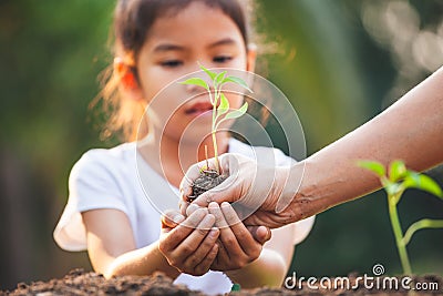 Asian little child girl and parent planting young seedlings in the black soil together in the garden Stock Photo