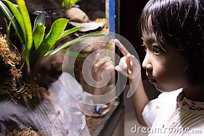 Asian Little Chinese Girl watching insects Stock Photo