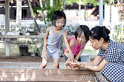 Asian Little Chinese Girls and mother playing wirh duck Stock Photo