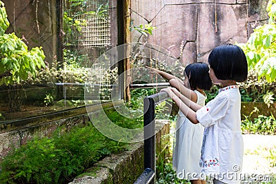 Asian Little Chinese Sisters watching animals Stock Photo