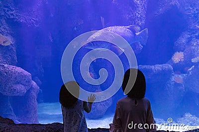 Asian Little Chinese Sisters watching fishes Stock Photo