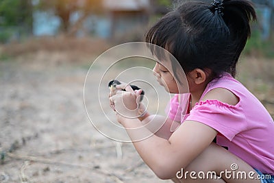 Asian little gilr holding a chick in her hand with love and happy Stock Photo