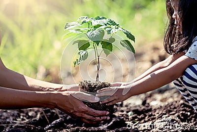 Asian little girl helping his father to plant the tree Stock Photo