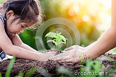 Asian little girl and parent planting young tree on black soil Stock Photo