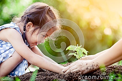 Asian little girl and parent planting young tree on black soil Stock Photo