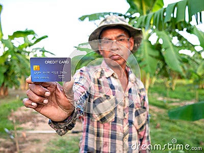 An Asian male gardener showing credit card in his banana garden Stock Photo