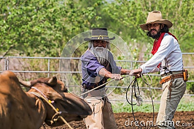 Asian Man Cowboy is catching calf To be branded in a ranch Stock Photo