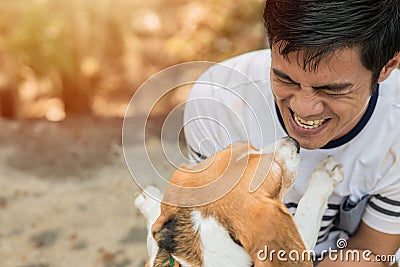 Asian man lovely cute playing with his puppy animal pet , Beagle are friendly dog with human Stock Photo