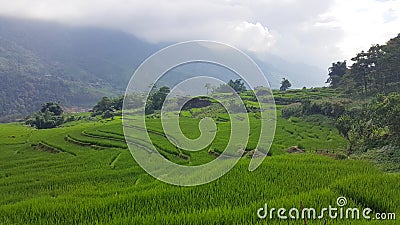 Asian Mountains Sapa Vietnam With Cloudy Sky 4 Stock Photo