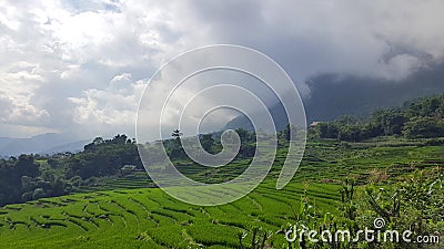 Asian Mountains Sapa Vietnam With Cloudy Sky 5 Stock Photo